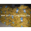 Fresh Ginger From Factory Packed with Mesh Bag